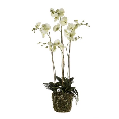 Orchidée artificielle phalaenopsis pabla