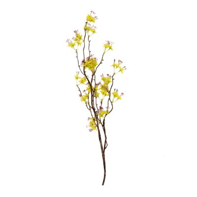 Fleurs jaune Mirohome