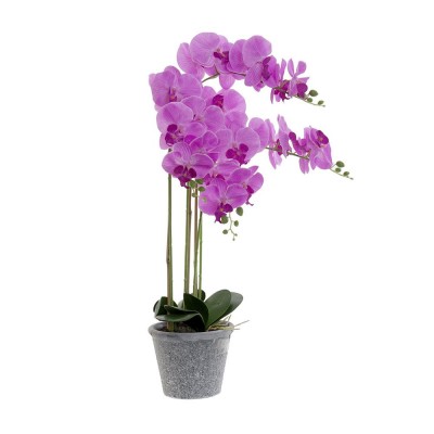 Plante orchidée en pot Mirohome